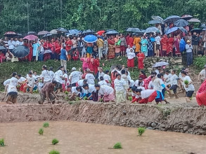मण्डनदेउपुर नगरपालिकाले मनायो राष्ट्रिय धान दिवस